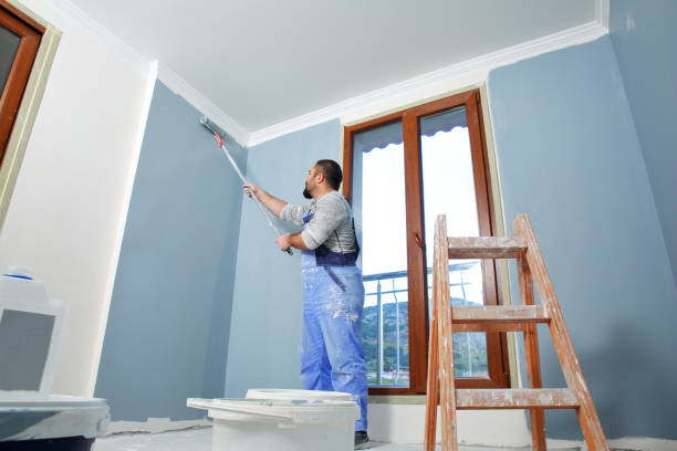 Best Repainting for Renovations  in St Ann, MO