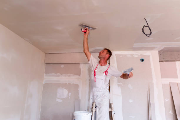 Best Ceiling Drywall Installation  in St Ann, MO