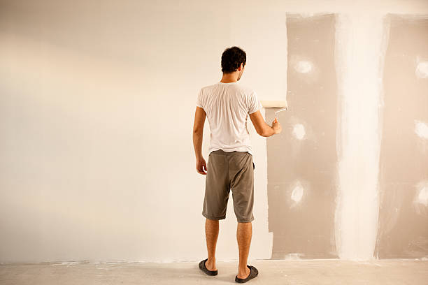 Best Fire-Damaged Drywall Repair  in St Ann, MO